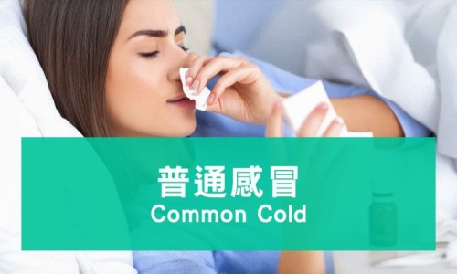 冻榴莲吃了会发胖吗-权威吃冷冻榴莲对身体有害吗平台,分享专业冻榴莲吃了会发胖吗知识_吃速冻榴莲最有营养吗网