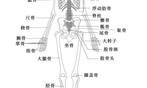 孕妇早期吃什么粥有营养？