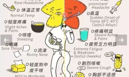 速冻榴莲好吃吗-权威吃冷冻榴莲对身体有害吗平台,分享专业冻榴莲吃了会发胖吗知识_吃速冻榴莲最有营养吗网
